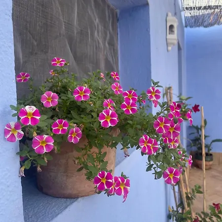 Cortijo Las Gallardas En Almeria Los Gallardos Exterior photo