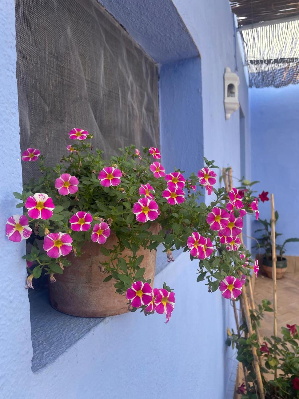 Cortijo Gallardas En Almeria * Los Gallardos